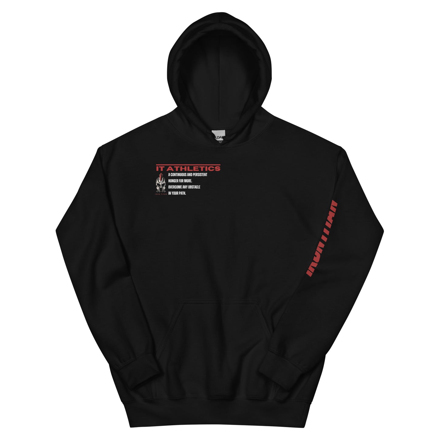 Unisex Titan's Reign Hoodie 2