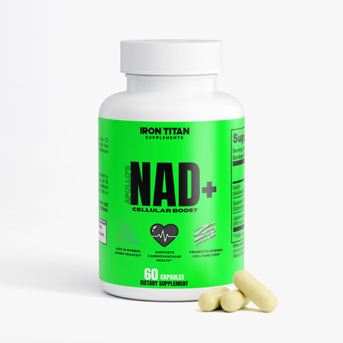 Apollo's NAD+