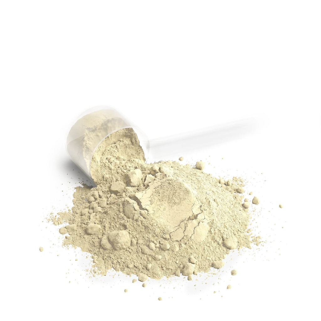 Ares' Performance Whey Protein Blend (Vanilla Ice Cream)