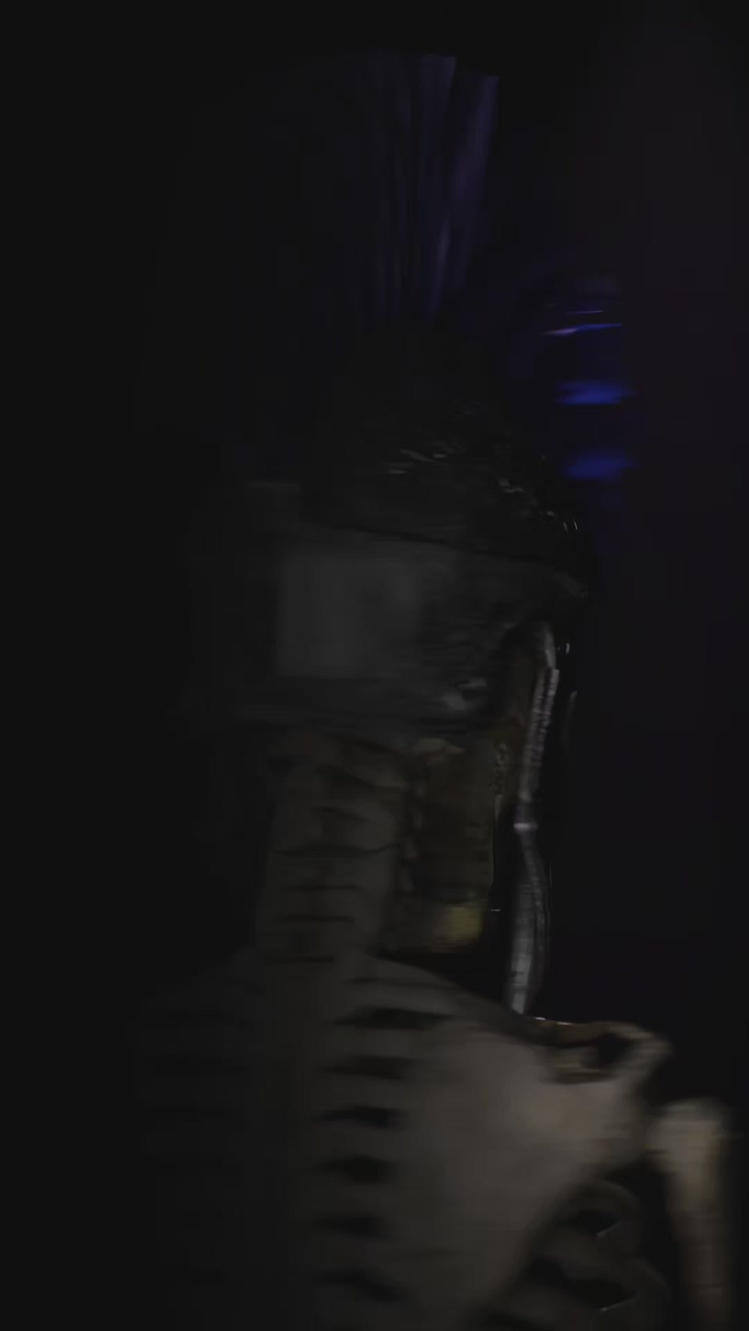 Load video: 